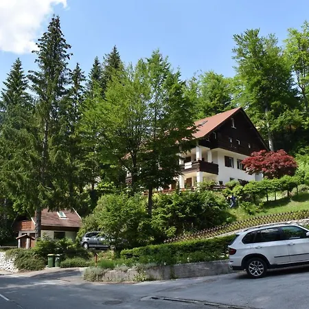 Hisa Ob Jezeru - House By The Apartment *