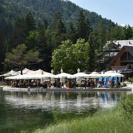 Hisa Ob Jezeru - House By The *