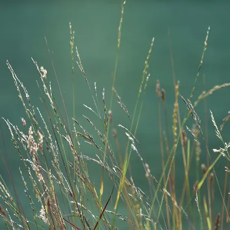 Hisa Ob Jezeru - House By The *