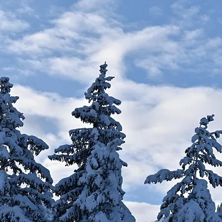 Hisa Ob Jezeru - House By The 크라니스카고라