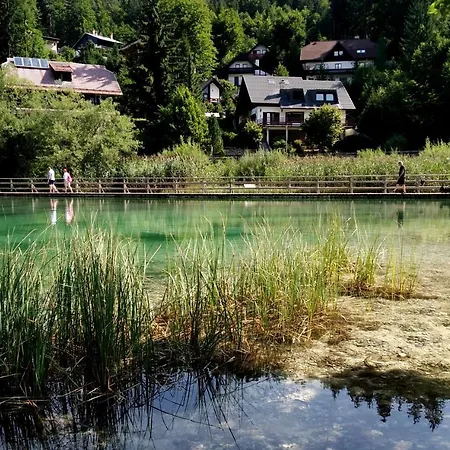 Hisa Ob Jezeru - House By The Apartman Kranjska Gora