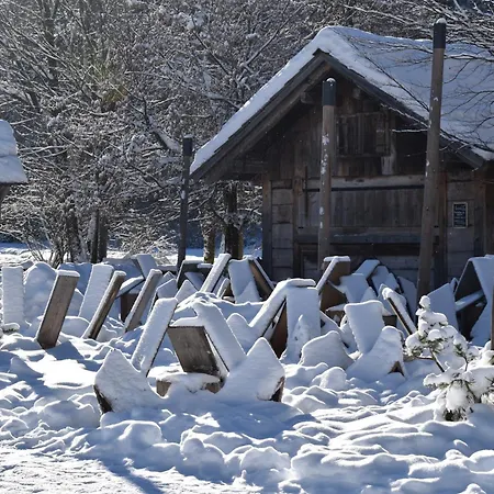 Hisa Ob Jezeru - House By The * Kranjska Gora