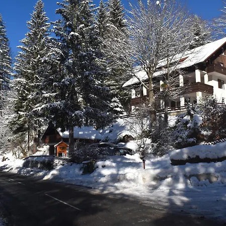 Hisa Ob Jezeru - House By The * Kranjska Gora