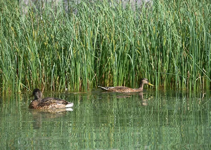 公寓 Hisa Ob Jezeru - House By The