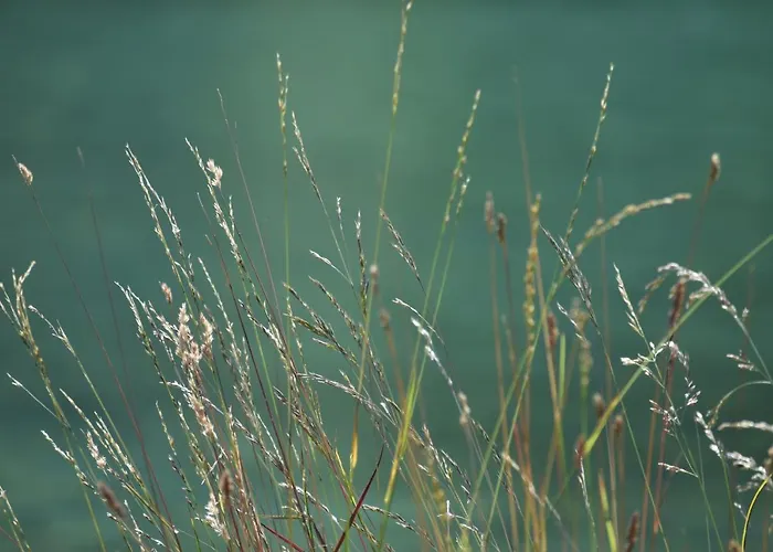 Hiša Ob Jezeru - House By The *