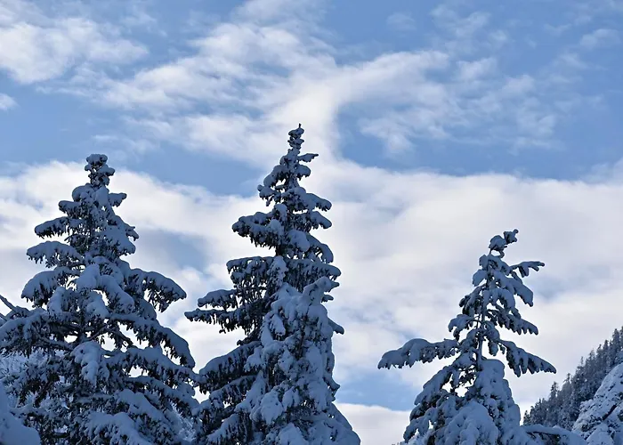 Hisa Ob Jezeru - House By The 克拉尼斯卡戈拉