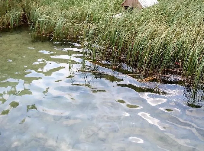 דירה Hisa Ob Jezeru - House By The קרנייסקה גורה