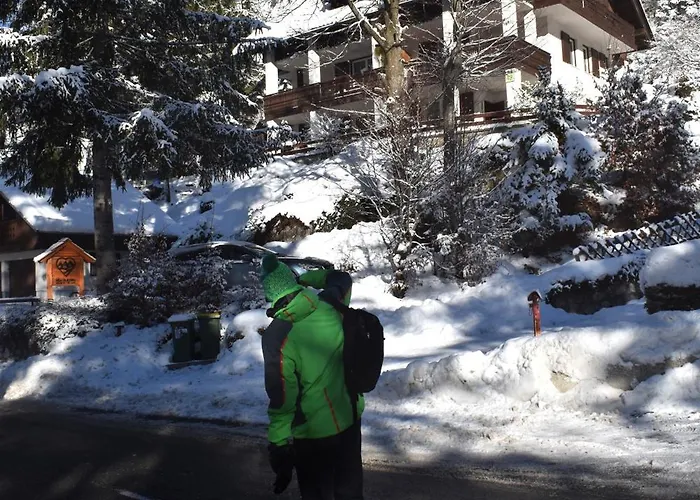 Hisa Ob Jezeru - House By The *