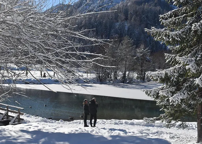 Hisa Ob Jezeru - House By The *